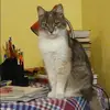 Отзыв от София Аникина